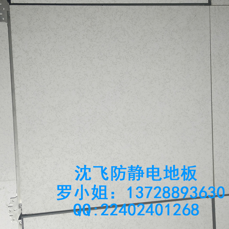 防靜電地板圖片/防靜電地板樣板圖 (1)