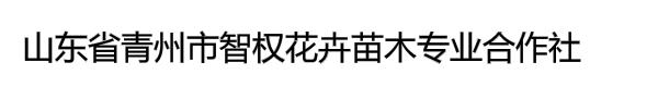 山东省青州市智权花卉苗木专业合作社