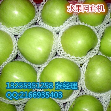 EPE發(fā)泡網(wǎng)機(jī)圖片/EPE發(fā)泡網(wǎng)機(jī)樣板圖 (4)