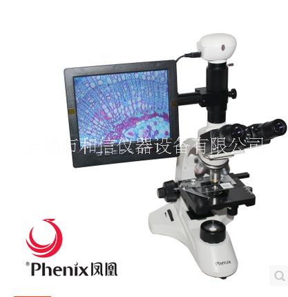 生物顯微鏡圖片/生物顯微鏡樣板圖 (1)