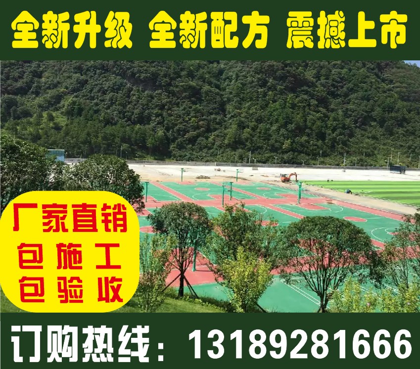 硅PU籃球場圖片/硅PU籃球場樣板圖 (4)