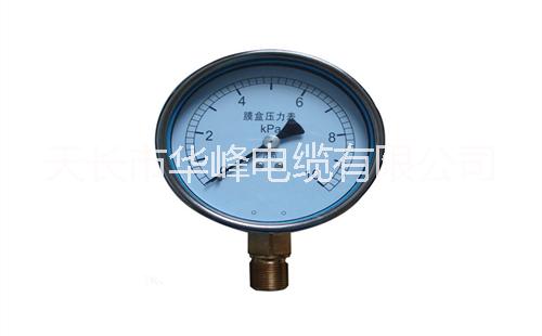 膜盒壓力表圖片