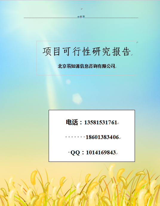 項(xiàng)目可行性報(bào)告圖片