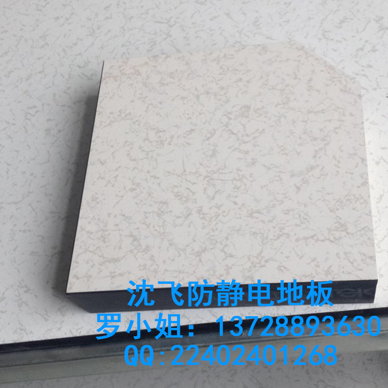 防靜電架空地板圖片/防靜電架空地板樣板圖 (4)