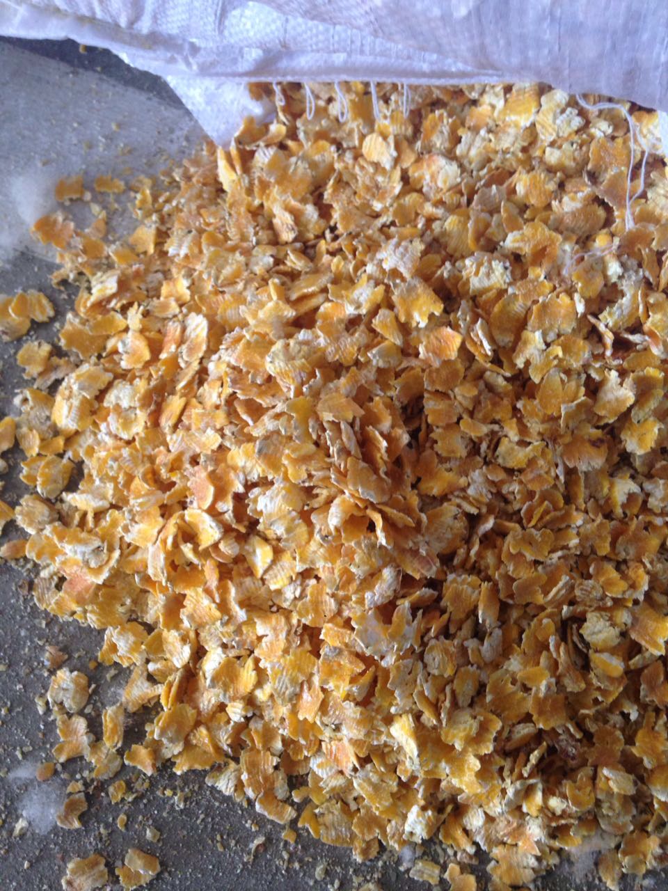 大閘蟹養(yǎng)殖飼料玉米 蒸汽壓片玉米圖片/大閘蟹養(yǎng)殖飼料玉米 蒸汽壓片玉米樣板圖 (3)