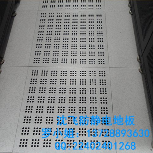 全鋼防靜電通風(fēng)地板圖片/全鋼防靜電通風(fēng)地板樣板圖 (1)