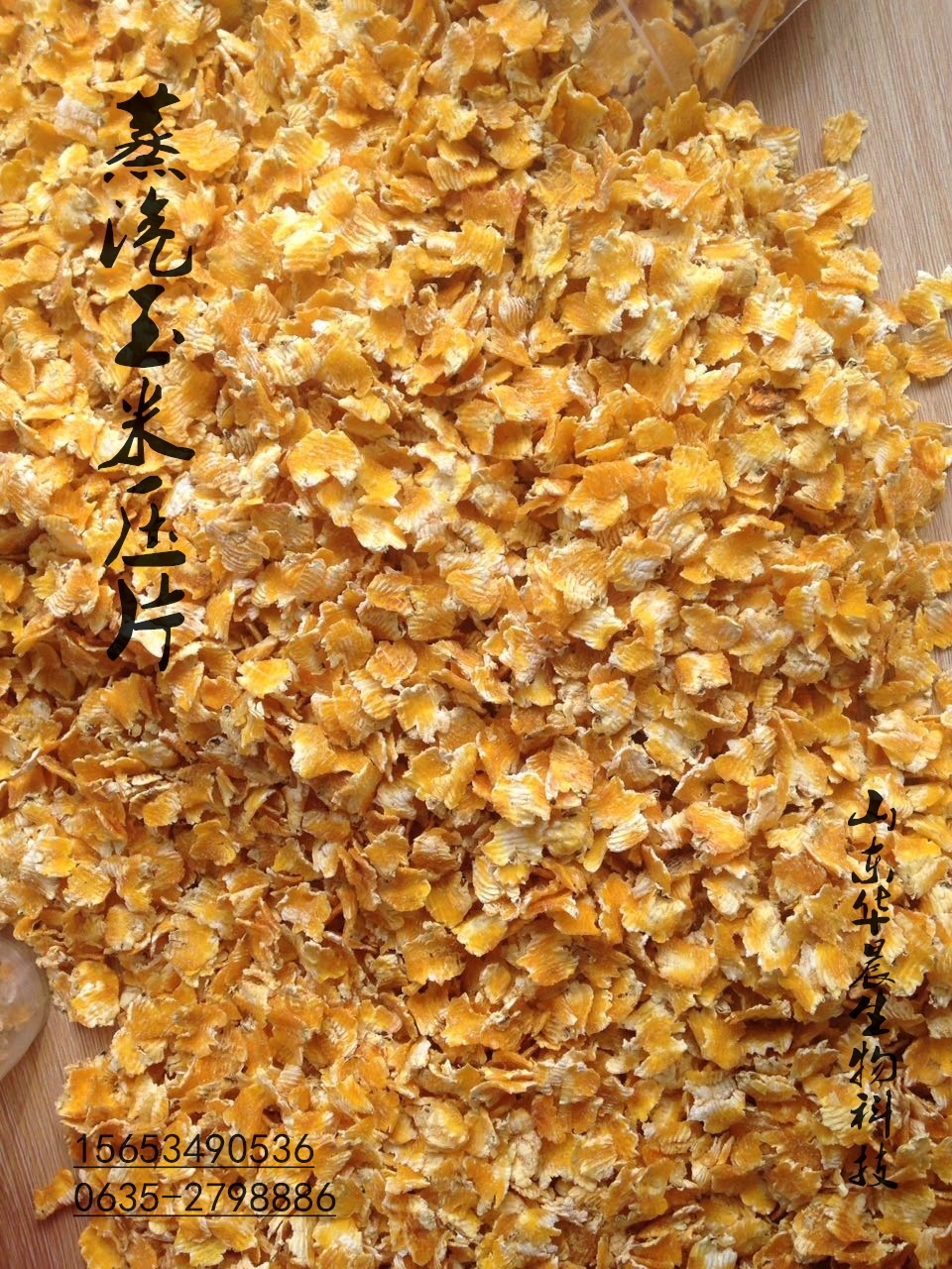 大閘蟹養(yǎng)殖飼料玉米 蒸汽壓片玉米圖片/大閘蟹養(yǎng)殖飼料玉米 蒸汽壓片玉米樣板圖 (4)