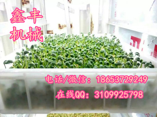 江蘇豆芽機(jī)廠家直銷圖片