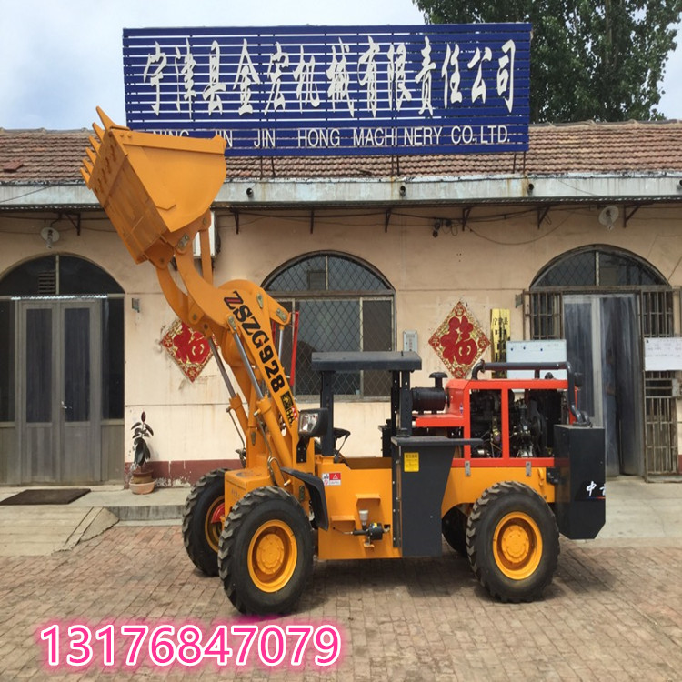 新款無(wú)極變速裝載機(jī)/批發(fā)價(jià)格/品圖片