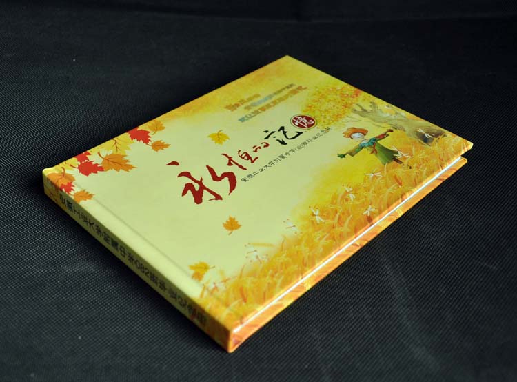 畫冊‖宣傳冊圖片/畫冊‖宣傳冊樣板圖 (4)