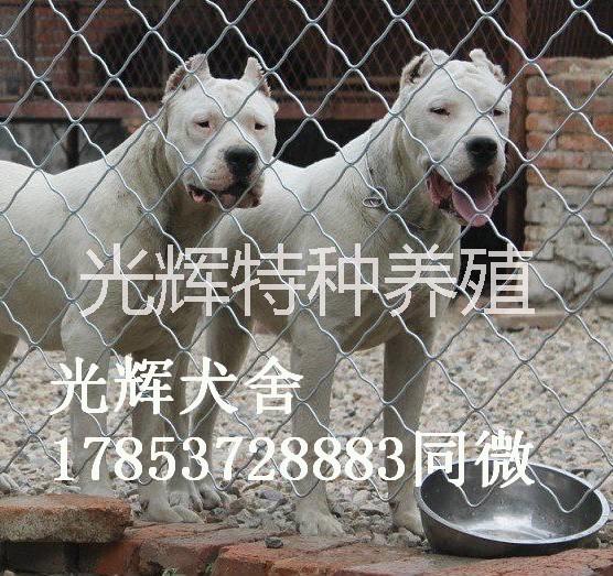 好幫手圖片/好幫手樣板圖 (4)