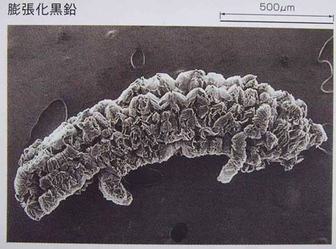 批發(fā)供應(yīng)優(yōu)質(zhì)石墨-可膨脹石墨圖片