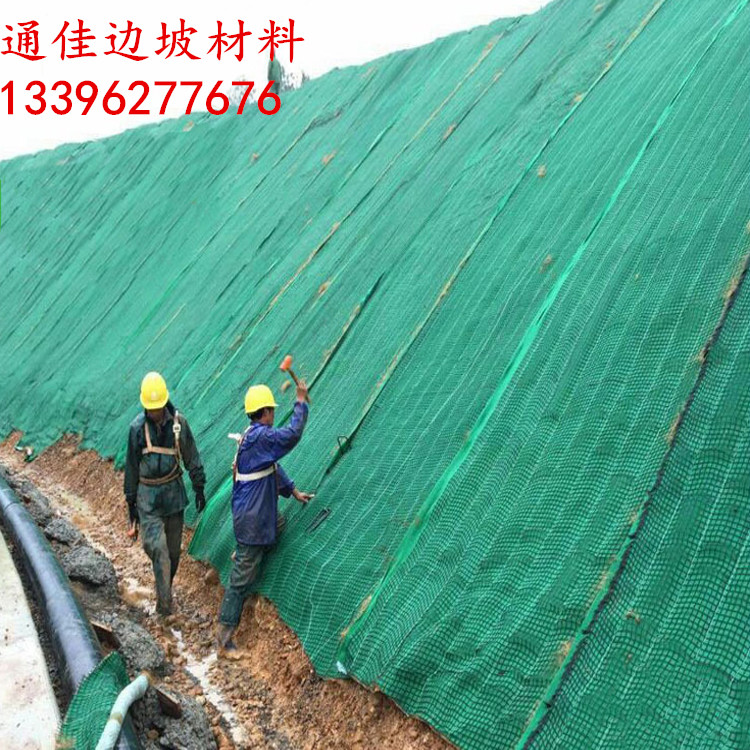 抗沖生物毯 椰絲毯 邊坡防護 生態(tài)治理