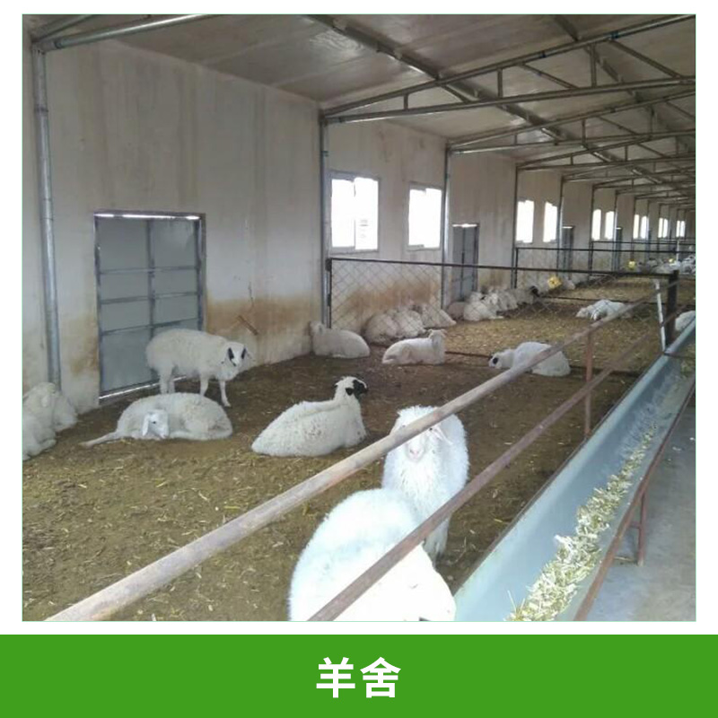 羊舍建设 专业规划建设新型鸡舍 羊舍 猪舍养殖小区