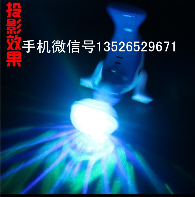 海獅圖片/海獅樣板圖 (1)