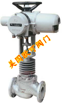 進(jìn)口電動截止閥圖片