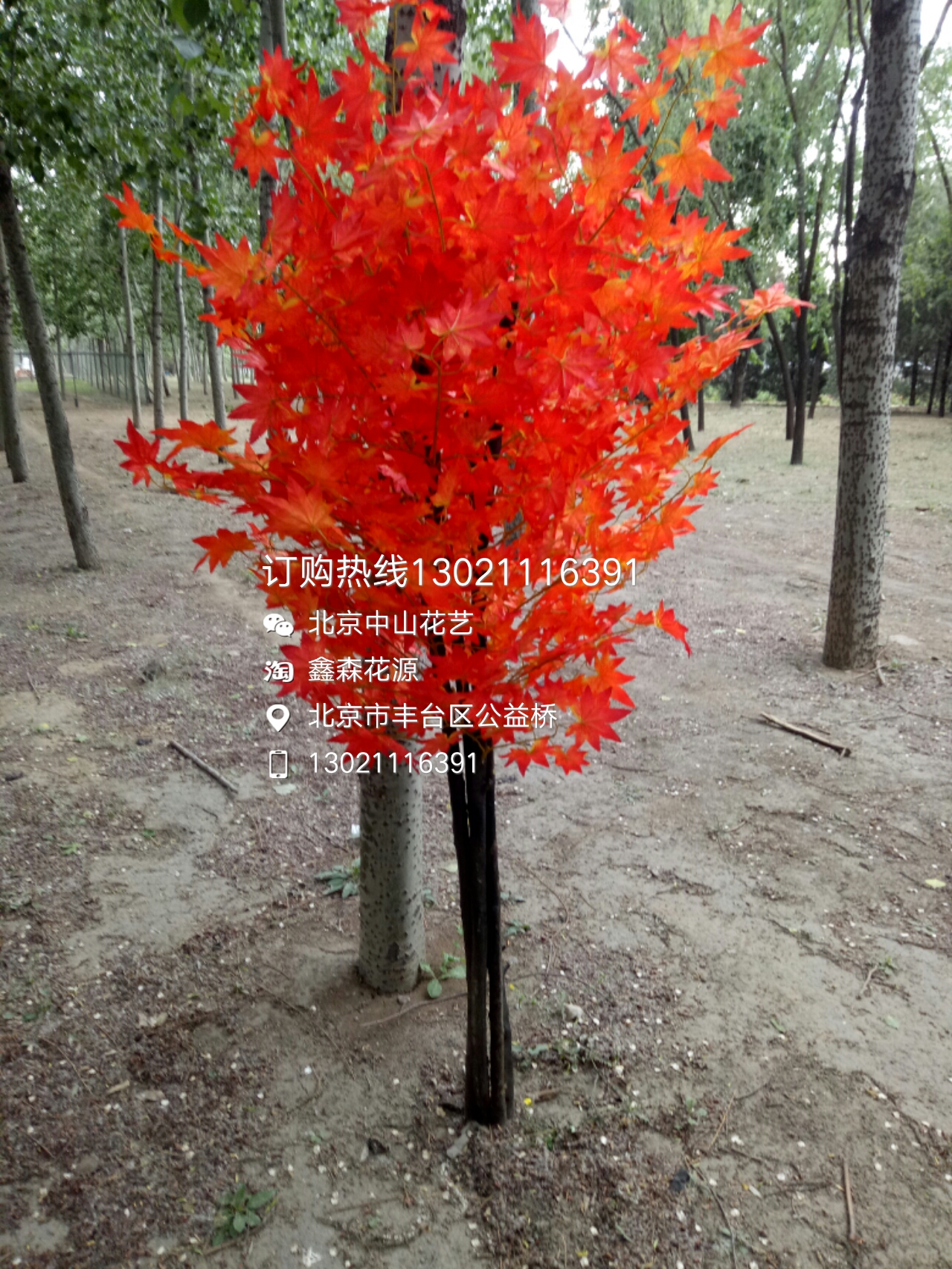 舞臺道具圖片/舞臺道具樣板圖 (3)
