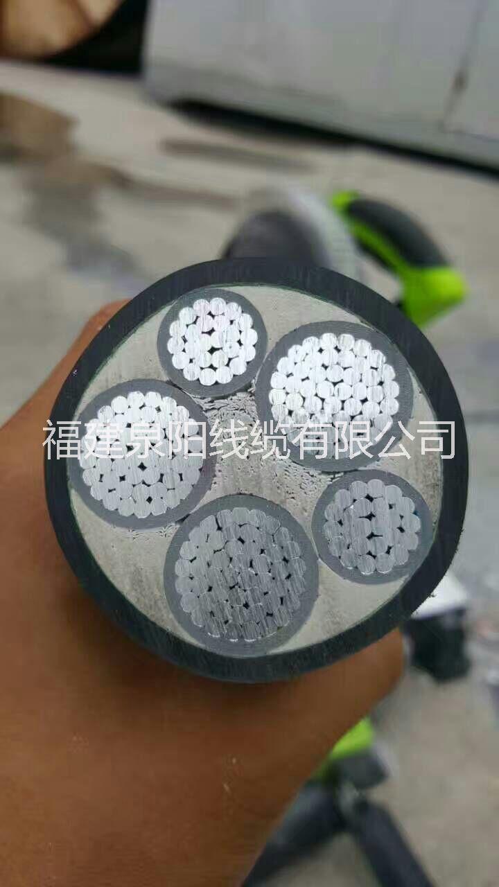 泉州鋁芯電纜圖片