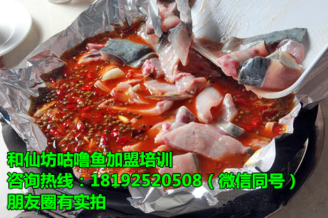 * 咕嚕魚加盟哪有咕嚕魚加盟哪家好