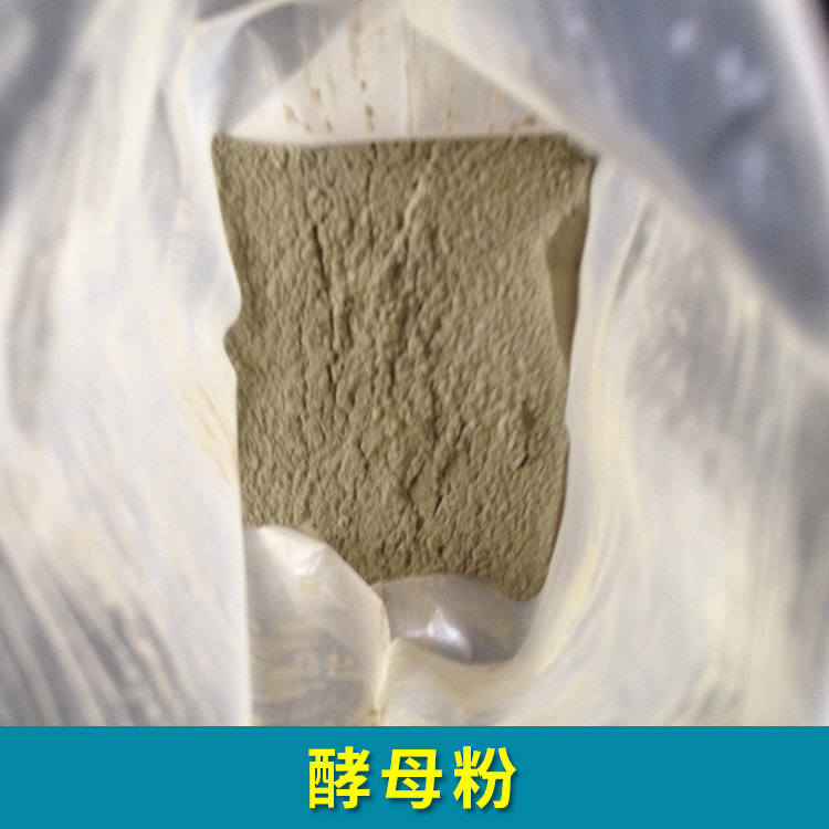 酵母粉供应图片