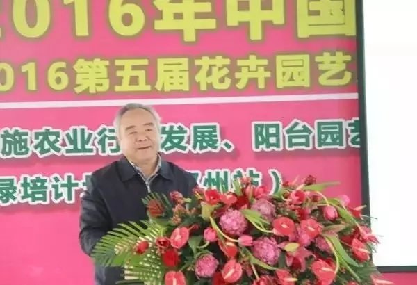 花卉園藝圖片/花卉園藝樣板圖 (3)
