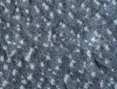 芝麻黑菠蘿面KS-010圖片