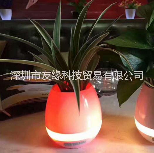 可彈琴音樂花盆智能創(chuàng)意圖片/可彈琴音樂花盆智能創(chuàng)意樣板圖 (2)