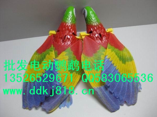 電動(dòng)鸚鵡圖片/電動(dòng)鸚鵡樣板圖 (4)