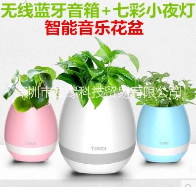 可彈琴音樂花盆智能創(chuàng)意圖片/可彈琴音樂花盆智能創(chuàng)意樣板圖 (4)