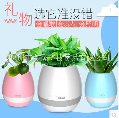 可彈琴音樂花盆智能創(chuàng)意圖片/可彈琴音樂花盆智能創(chuàng)意樣板圖 (3)
