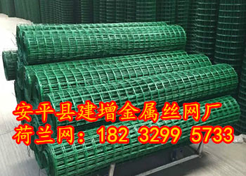 荷蘭網(wǎng) pvc浸塑電焊網(wǎng)圖片/荷蘭網(wǎng) pvc浸塑電焊網(wǎng)樣板圖 (2)