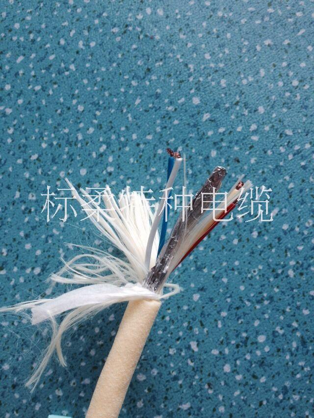 臍帶電纜，漂浮電纜，水密電纜圖片