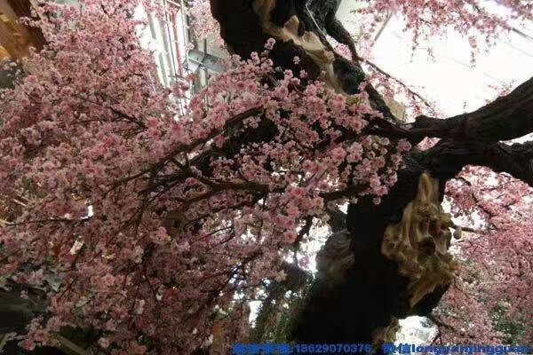 水景工程圖片/水景工程樣板圖 (4)