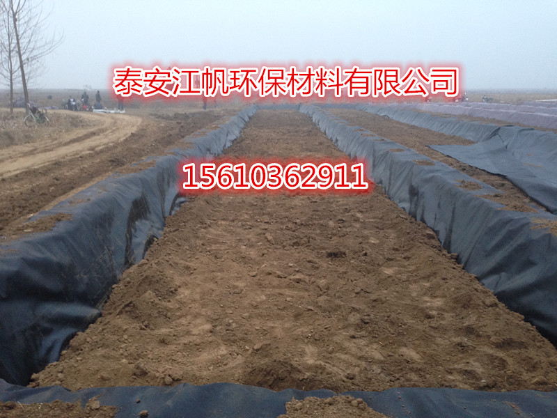 藕池防滲土工膜圖片/藕池防滲土工膜樣板圖 (4)