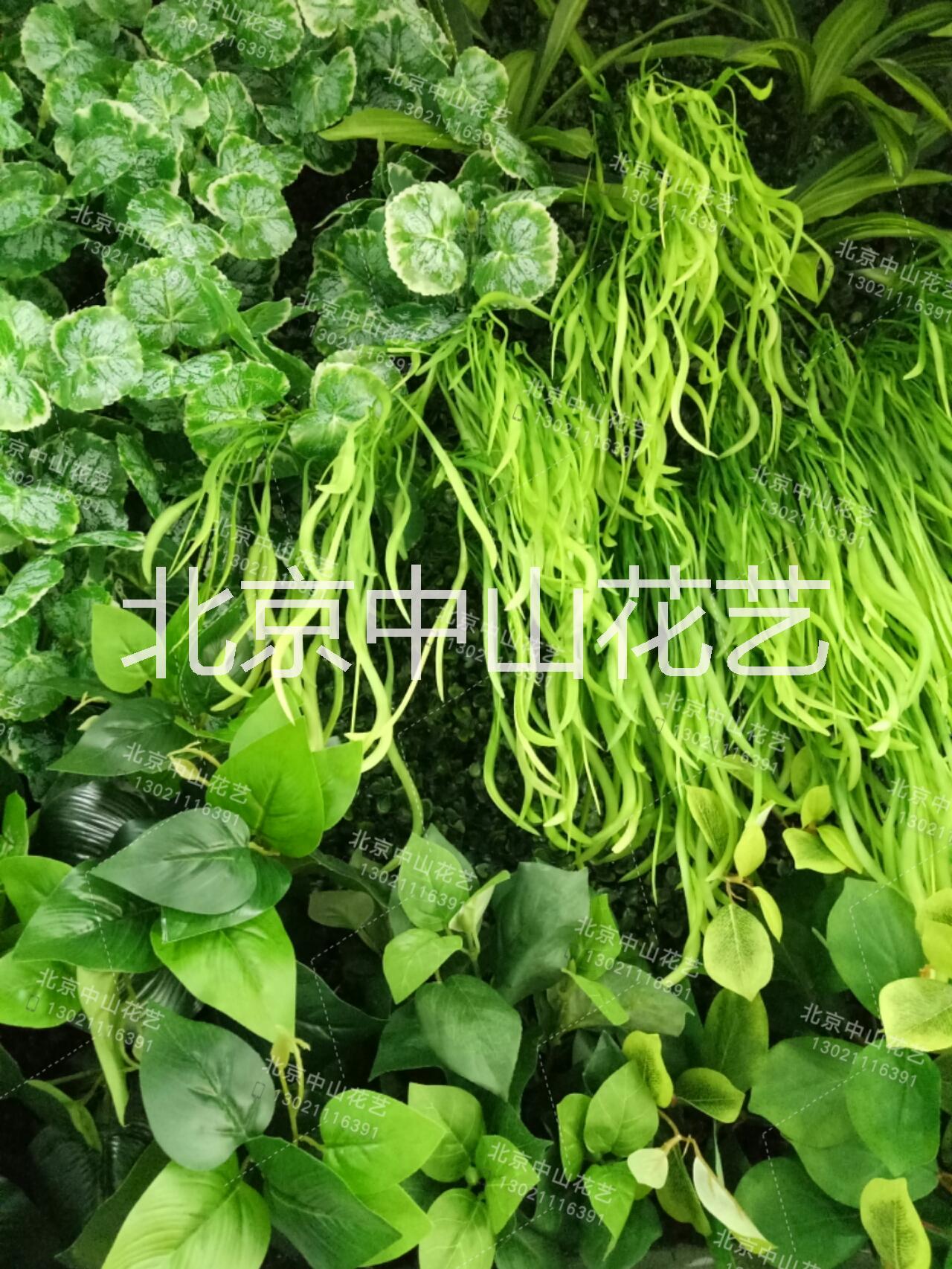 仿真綠植圖片/仿真綠植樣板圖 (2)