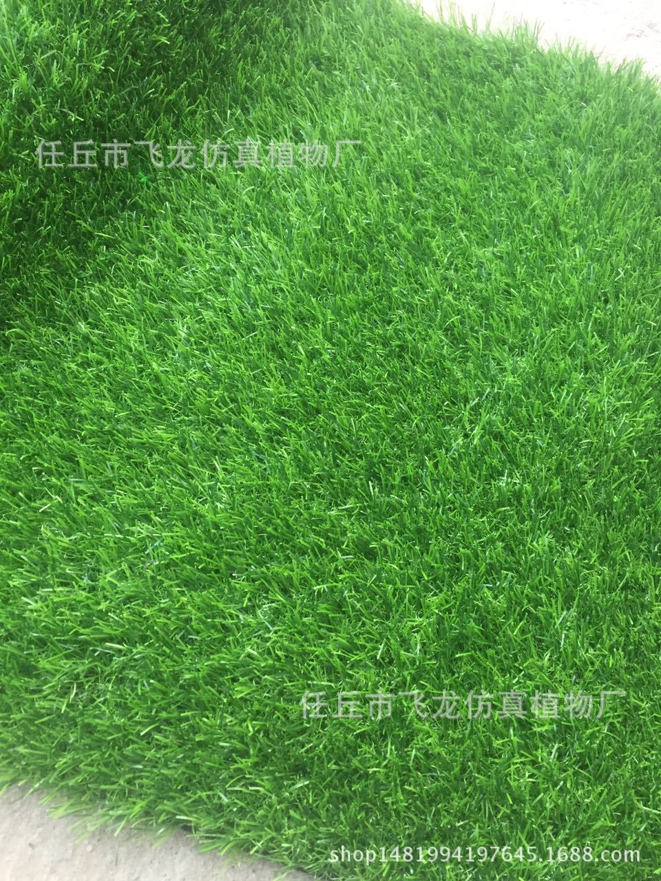 仿真草坪地毯幼兒園人工草坪婚禮展覽運(yùn)動草坪人工塑料假草皮批發(fā)