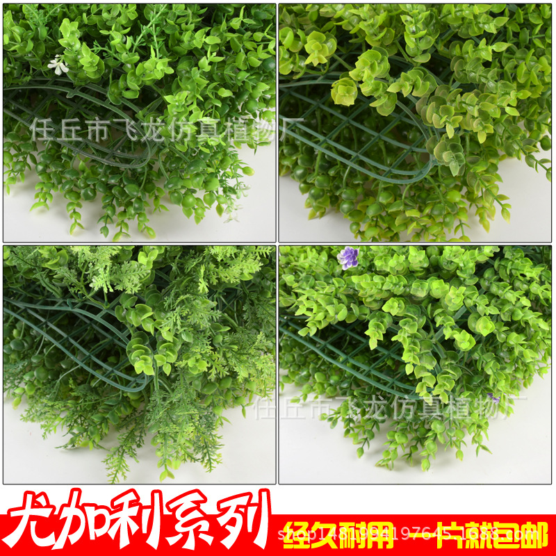 仿真植物圖片/仿真植物樣板圖 (2)