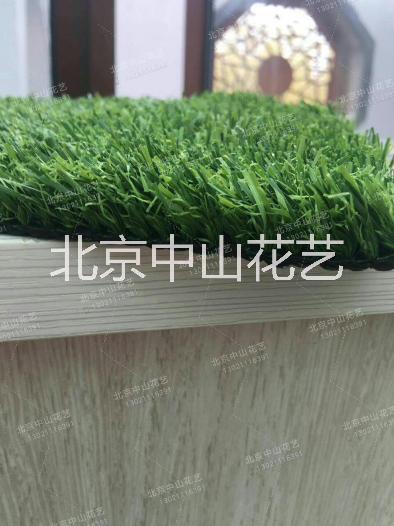 北京假草坪圖片/北京假草坪樣板圖 (3)