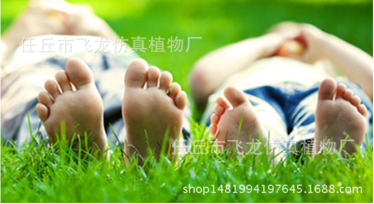 假草坪 人造草坪 運(yùn)動草坪 仿真假草坪幼兒園地毯人工草皮樓頂陽臺綠化草