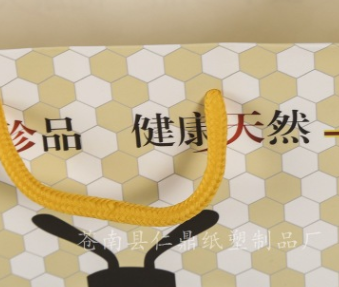 禮品紙袋定制logo圖片/禮品紙袋定制logo樣板圖 (2)