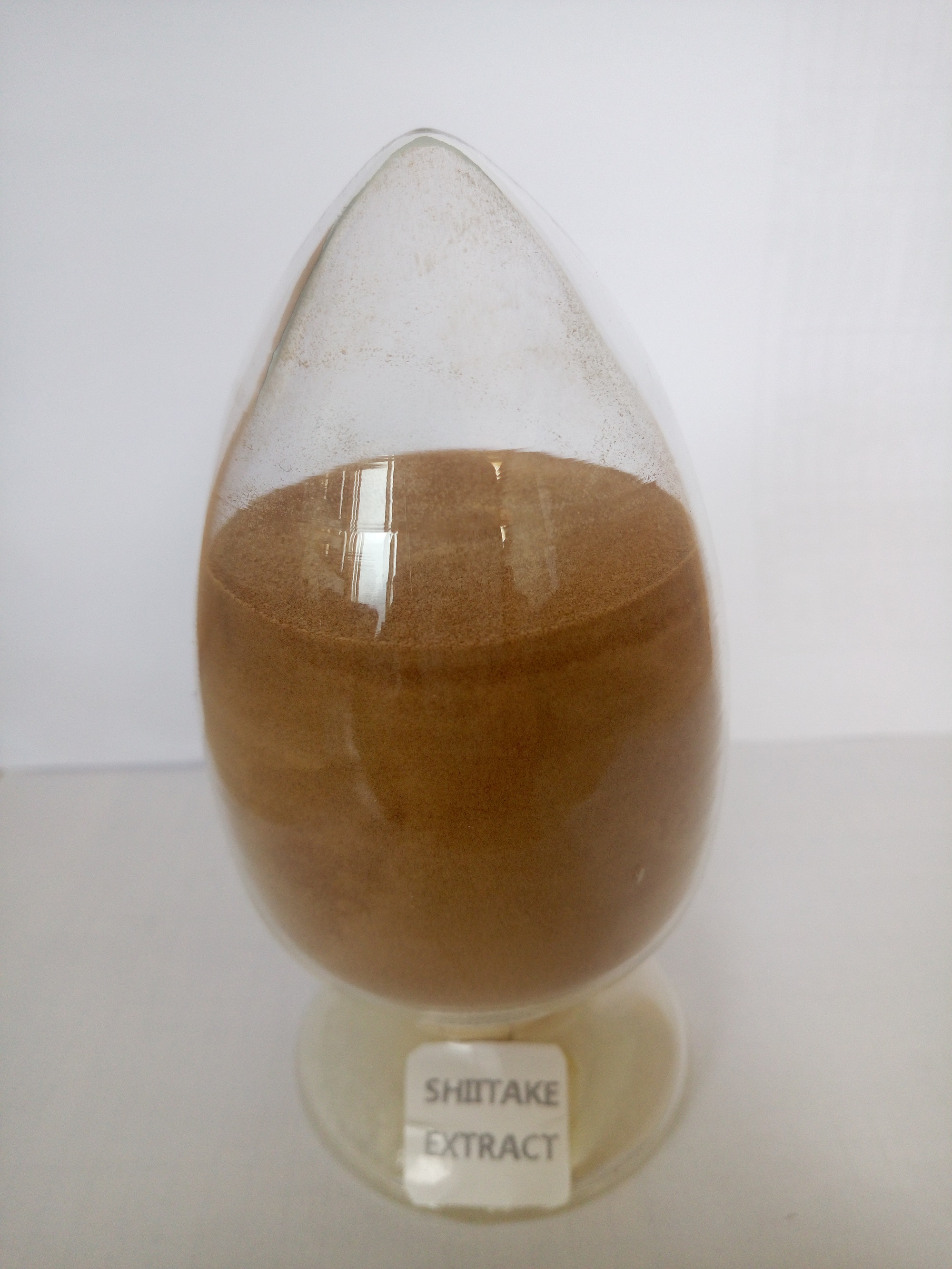 香菇提取圖片/香菇提取樣板圖 (1)