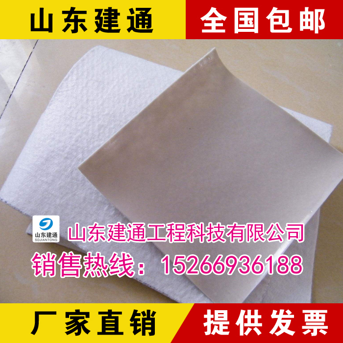 復(fù)合土工膜圖片/復(fù)合土工膜樣板圖 (1)