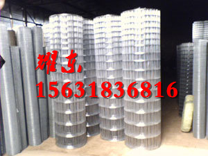 噴塑電焊網(wǎng)圖片