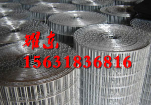 養(yǎng)殖電焊網(wǎng)圖片/養(yǎng)殖電焊網(wǎng)樣板圖 (2)