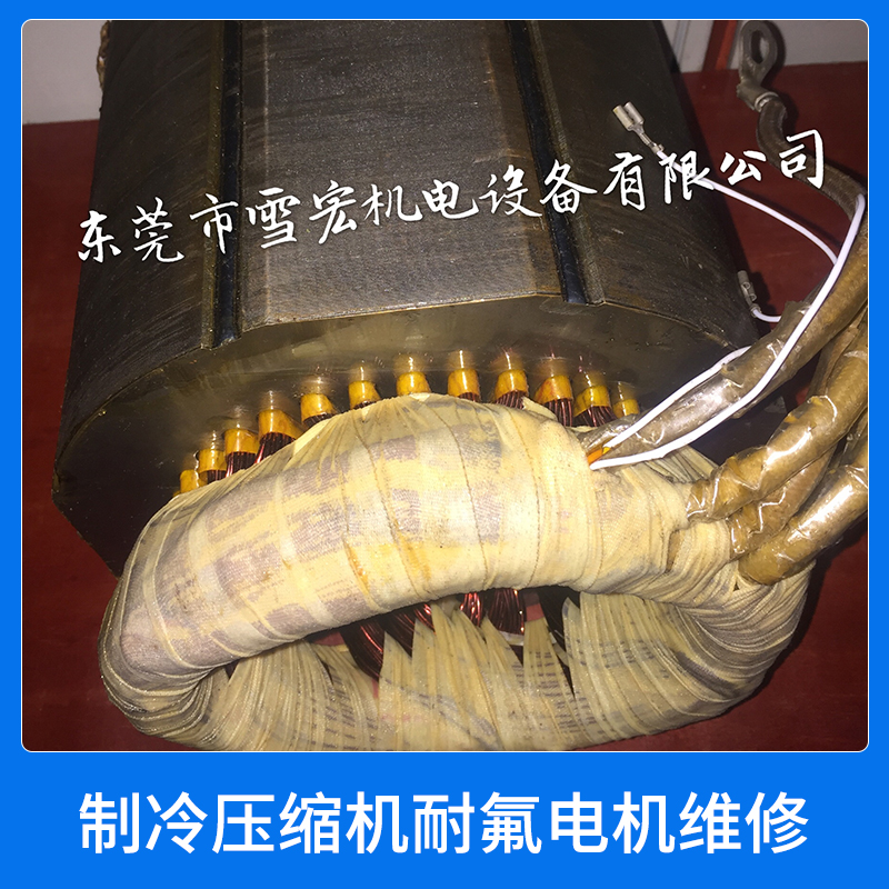 制冷壓縮機耐氟電機維修圖片/制冷壓縮機耐氟電機維修樣板圖 (3)