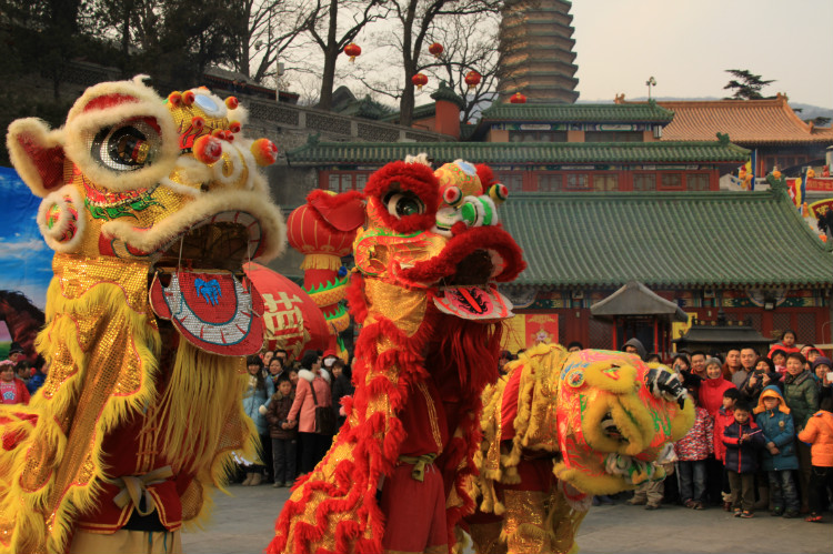 舞龍舞獅圖片/舞龍舞獅樣板圖 (4)