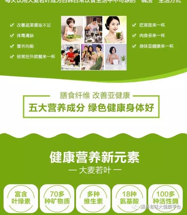 大麥若葉圖片/大麥若葉樣板圖 (2)