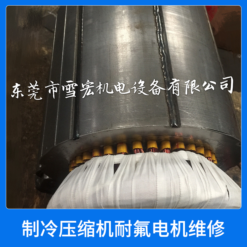 制冷壓縮機耐氟電機維修圖片/制冷壓縮機耐氟電機維修樣板圖 (4)