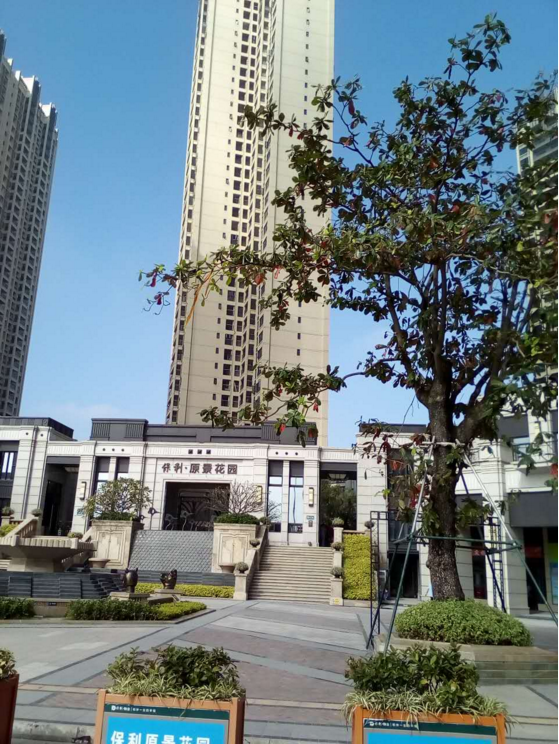 除甲醛圖片/除甲醛樣板圖 (4)