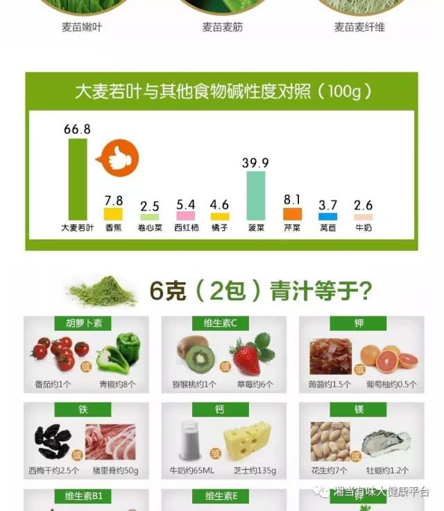 大麥若葉圖片/大麥若葉樣板圖 (4)